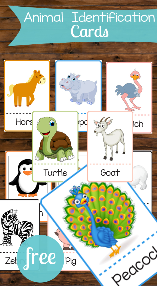 These animal matching cards are perfect for toddlers! There are so many ways these could be used for games and education!