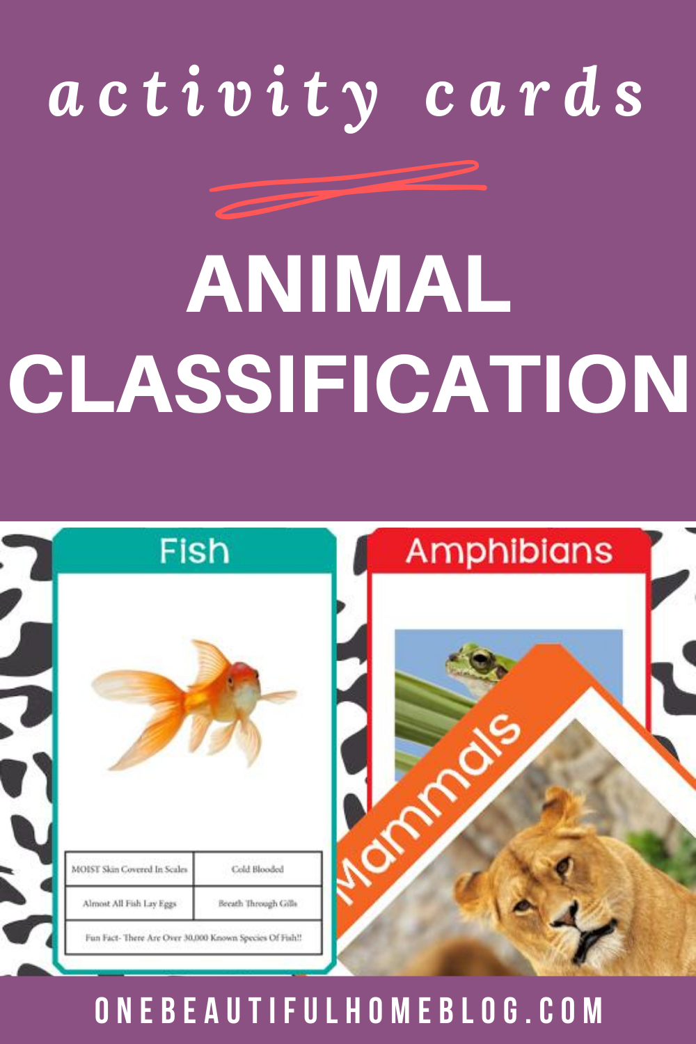 Animal Classification Cards - One Beautiful Home