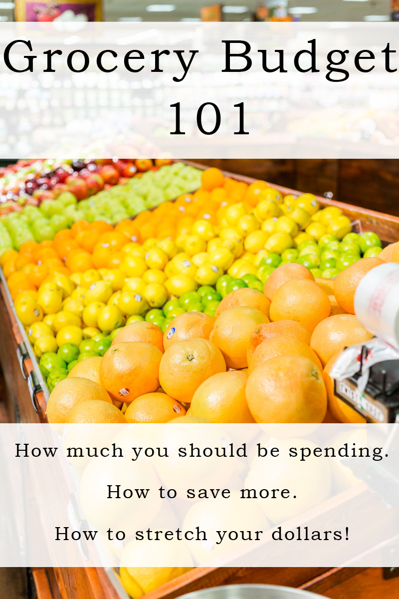 Grocery Budget 101