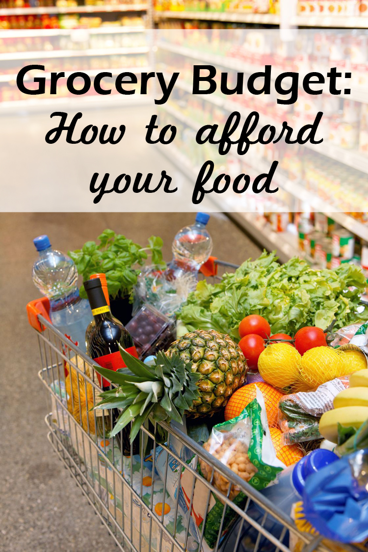 Budgeting Grocery Shopping On A Budget One Beautiful Home