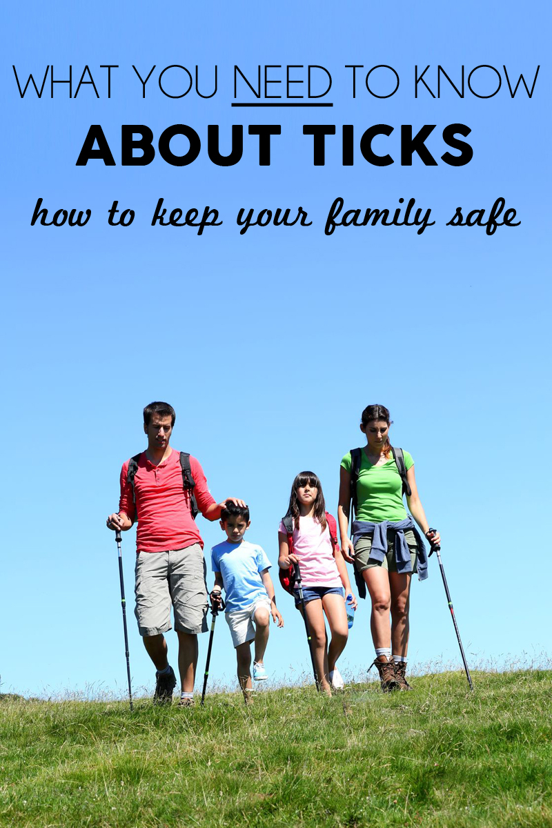 what you need to know about ticks